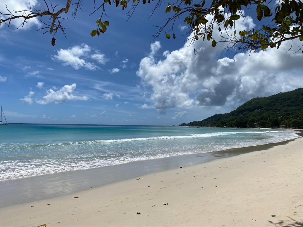Beau Bamboo Beau Vallon (Mahe) Exterior foto